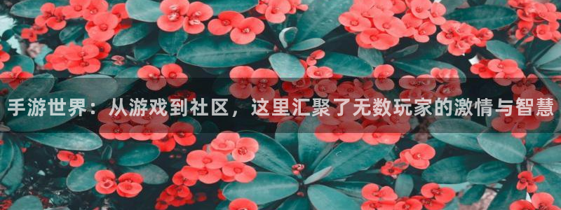 摩根娱乐app下载官网安装苹果：手游世界：从游戏到社区，这里
