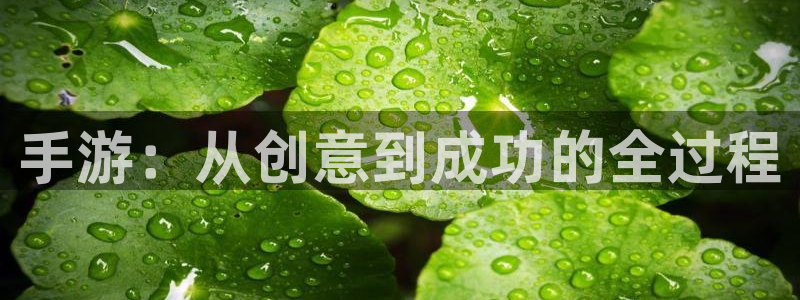 摩根娱乐娱乐官网入口网址：手游：从创意到成功的全过程