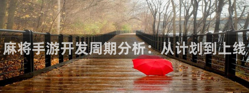 摩根娱乐云挂机：麻将手游开发周期分析：从计划到上线