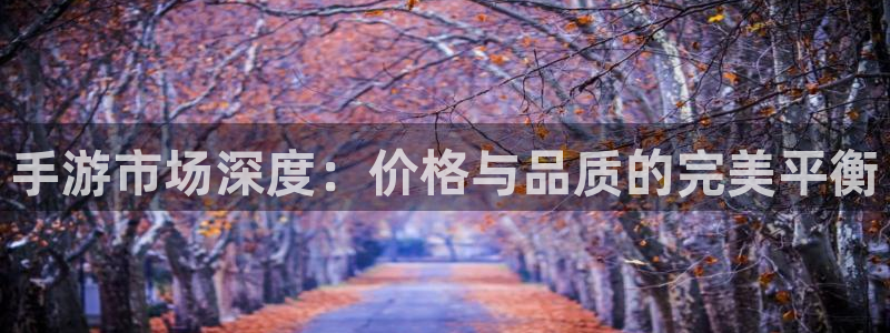 摩根娱乐官网入口：手游市场深度：价格与品质的完美平衡