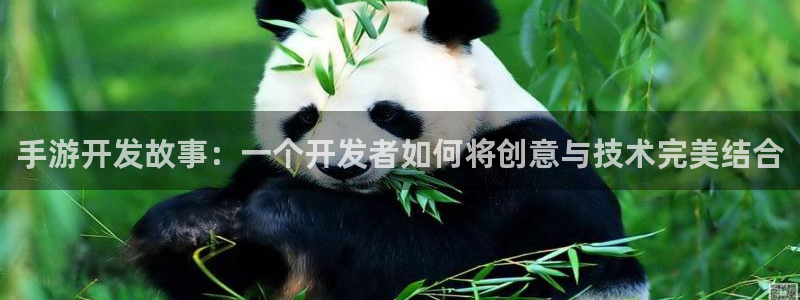 摩根娱乐这个平台怎么样啊：手游开发故事：一个开发者如何将创意