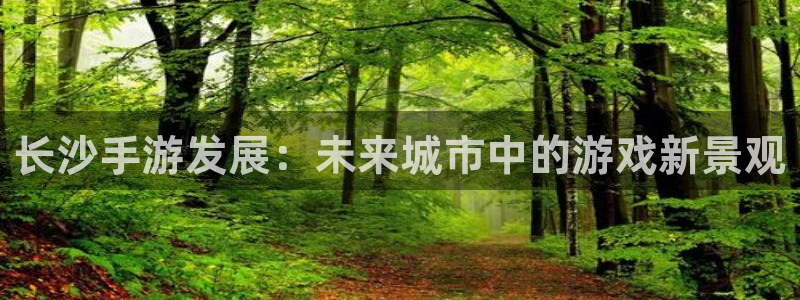 摩根娱乐是什么：长沙手游发展：未来城市中的游戏新景观