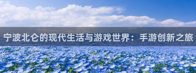 摩根娱乐官网入口网址是什么：宁波北仑的现代生活与游戏世界：手