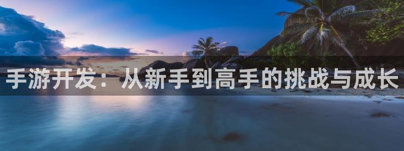 摩根娱乐官网入口网站下载：手游开发：从新手到高手的挑战与成长
