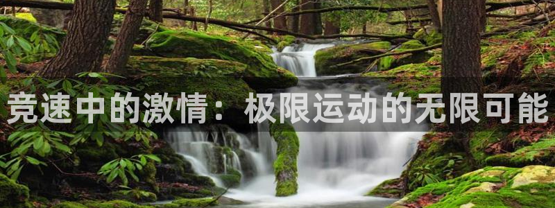 bbin视讯游戏官网：竞速中的激情：极限运动的无限可能