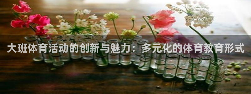 bbin视讯游戏平台：大班体育活动的创新与魅力：多元化的体育教育形式